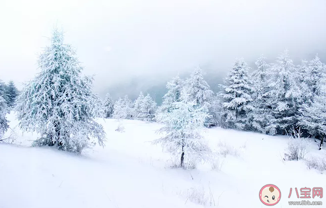 下雪了怎么發(fā)朋友圈 下雪天發(fā)朋友圈的句子 下雪了怎么發(fā)朋友圈 下雪天發(fā)朋友圈的句子