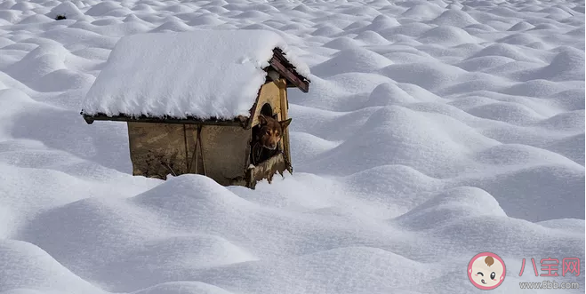 下雪了怎么發(fā)朋友圈 下雪天發(fā)朋友圈的句子 下雪了怎么發(fā)朋友圈 下雪天發(fā)朋友圈的句子