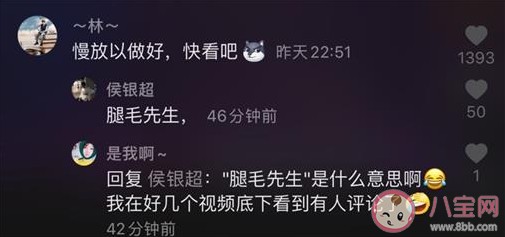 腿毛先生是什么意思 腿毛先生梗的出處是什么 腿毛先生是什么意思 腿毛先生梗的出處是什么