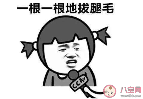 腿毛先生是什么意思 腿毛先生梗的出處是什么 腿毛先生是什么意思 腿毛先生梗的出處是什么