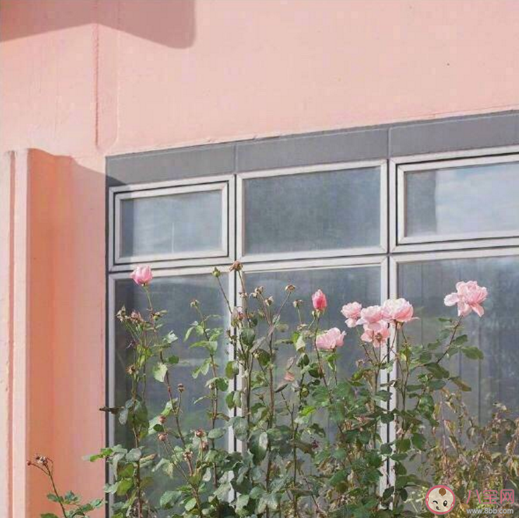 適合單身的酷酷的句子 朋友圈單身霸氣句子說說