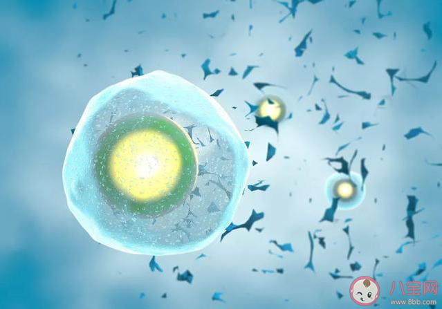 女性凍卵過程是怎樣的 什么年齡凍卵合適