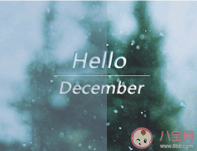 十一月再見12月你好唯美短句 2019十一月再見十二月你好文案句子