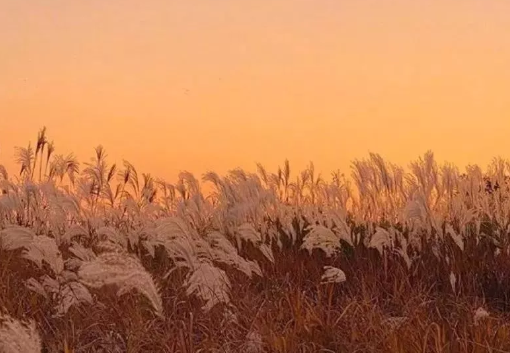 2019冬天傷感的心情說說 冬天傷感的唯美句子