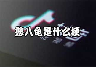 憨八龜是什么意思 憨八龜梗的出處是什么