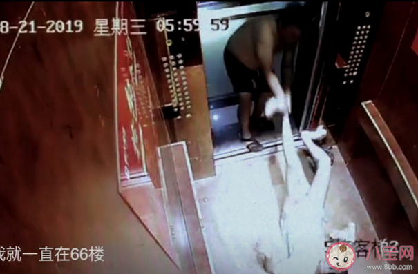 30%中國已婚婦女曾遭家暴是怎么回事 女性遭遇家暴該怎么辦呢