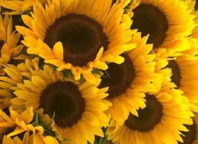 2019快過(guò)去吧朋友圈說(shuō)說(shuō) 2019快過(guò)去吧心情句子