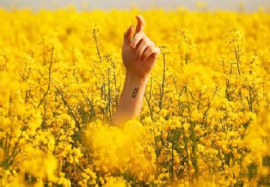 2019快過(guò)去吧朋友圈說(shuō)說(shuō) 2019快過(guò)去吧心情句子