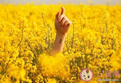 2019快過去2020你好的心情感慨 2019快過去2020你好說說句子