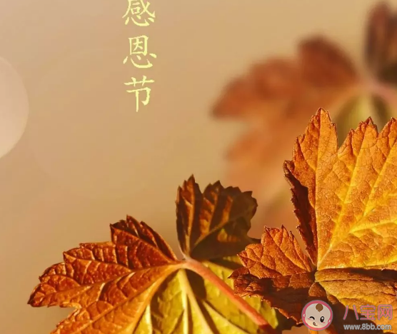 今天是感恩節發的朋友圈祝福語 感恩節走心溫暖說說