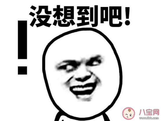 力大飛磚是什么意思 力大飛磚梗的出處是什么