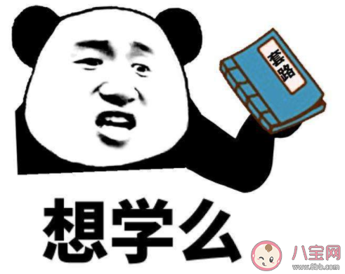 力大飛磚是什么意思 力大飛磚梗的出處是什么