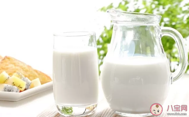 豆?jié){可以空腹喝嗎 早餐喝豆?jié){還是牛奶好 豆?jié){可以空腹喝嗎 早餐喝豆?jié){還是牛奶好