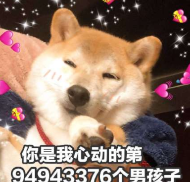 94943376是什么意思 94943376個男孩子什么梗
