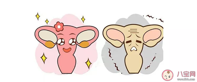 懷孕之后女性的身體會有哪些變化 懷孕后身體會變怎么樣 懷孕之后女性的身體會有哪些變化 懷孕后身體會變怎么樣