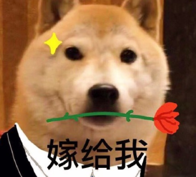 94943376是什么意思 94943376個男孩子什么梗