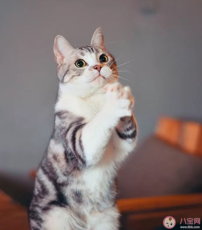 長期熬夜的危害有多大 長期熬夜會對身體有什么影響