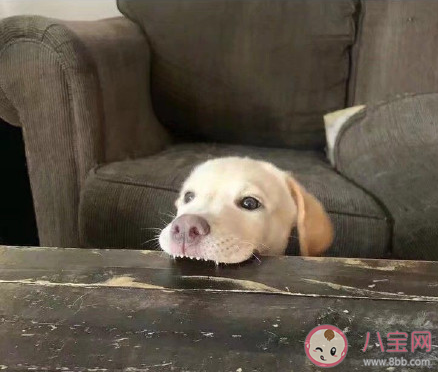 目前為止做過最壞的事是什么 自己做過的最壞的事情有哪些