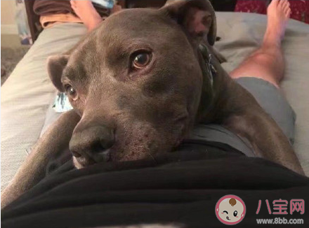 目前為止做過最壞的事是什么 自己做過的最壞的事情有哪些