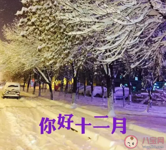 十二月早安心語正能量帶字圖片 12月溫馨帶圖句子