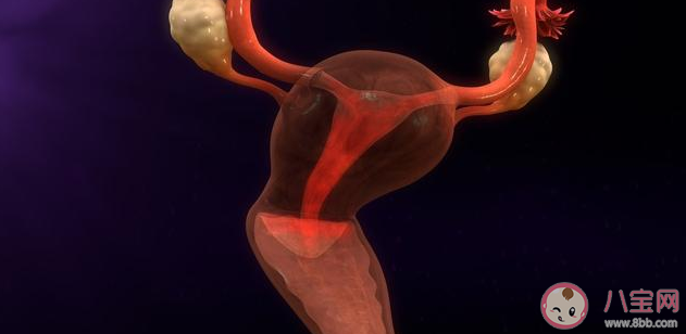 子宮后位是怎么引起的 子宮后位如何增加受孕機會