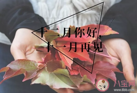 11月再見12月你好致自己的說說文案 十一月再見十二月你好微信說說