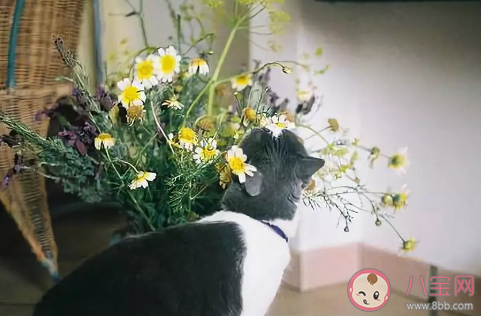 11月再見12月你好致自己的說說文案 十一月再見十二月你好微信說說