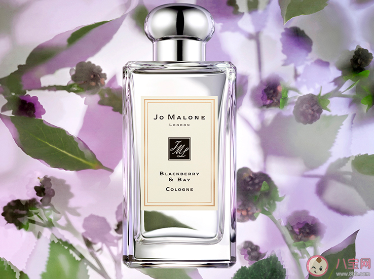 祖瑪瓏黑莓月桂葉香水味道怎么樣 祖瑪瓏黑莓月桂葉香水好聞嗎