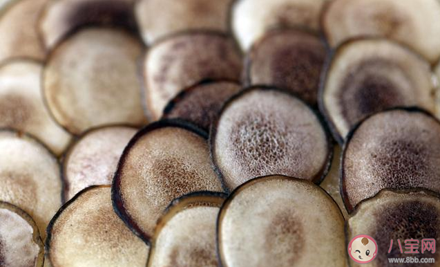 冬季吃鹿茸有什么好處 鹿茸怎么吃效果最好 冬季吃鹿茸有什么好處 鹿茸怎么吃效果最好