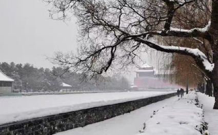 今日大雪節氣心情句子 今日大雪節氣感慨說說