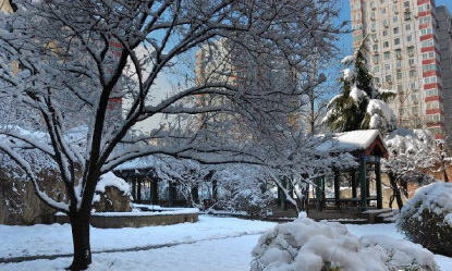 今日大雪節氣心情句子 今日大雪節氣感慨說說