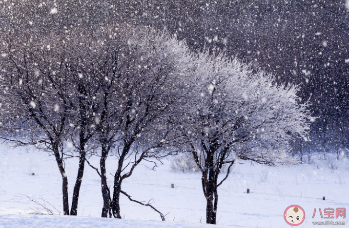 大雪節(jié)氣文案唯美短句 2019大雪節(jié)氣創(chuàng)意溫馨祝福語(yǔ)句子