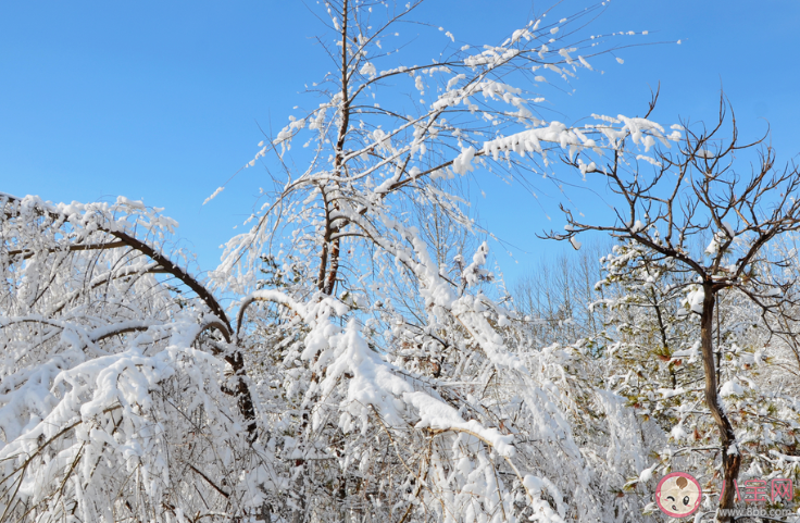 大雪節(jié)氣文案唯美短句 2019大雪節(jié)氣創(chuàng)意溫馨祝福語(yǔ)句子