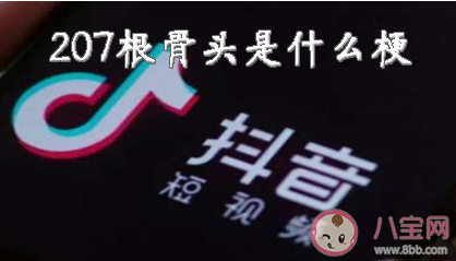 207根骨頭是什么意思 207根骨頭梗的出處是什么