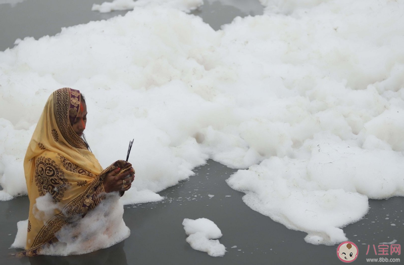 印度毒泡沫海灘在哪 印度毒泡沫海灘有什么毒 印度毒泡沫海灘在哪 印度毒泡沫海灘有什么毒