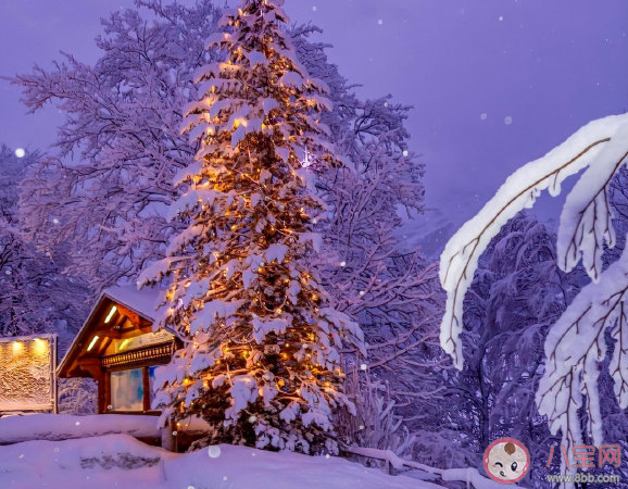 2019關(guān)于圣誕節(jié)發(fā)的朋友圈說說 圣誕節(jié)的心情感言說說 2019關(guān)于圣誕節(jié)發(fā)的朋友圈說說 圣誕節(jié)的心情感言說說