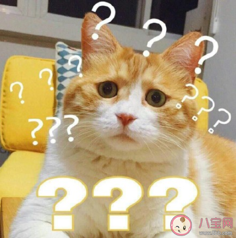 臉盲認(rèn)錯(cuò)人的尷尬經(jīng)歷是怎么樣 臉盲認(rèn)錯(cuò)人是什么樣的感受體驗(yàn)