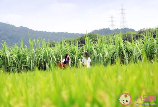 形容涼薄的說說心情 人心涼薄冷暖自知說說 形容涼薄的說說心情 人心涼薄冷暖自知說說