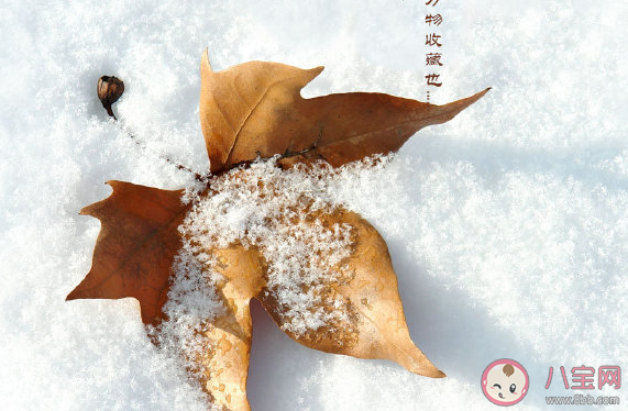 2019今日冬至說說配圖朋友圈 今天是冬至溫暖圖片素材 2019今日冬至說說配圖朋友圈 今天是冬至溫暖圖片素材