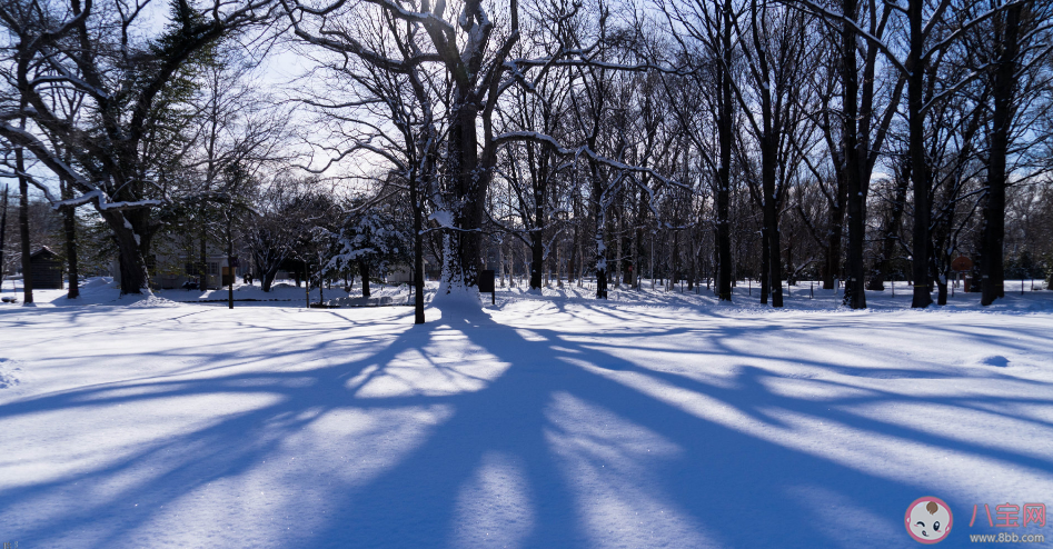 2019今日大雪的祝福 今日大雪發什么說說朋友圈