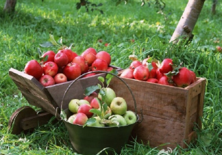 2019平安夜吃蘋果的心情說說 平安夜曬蘋果的微信句子