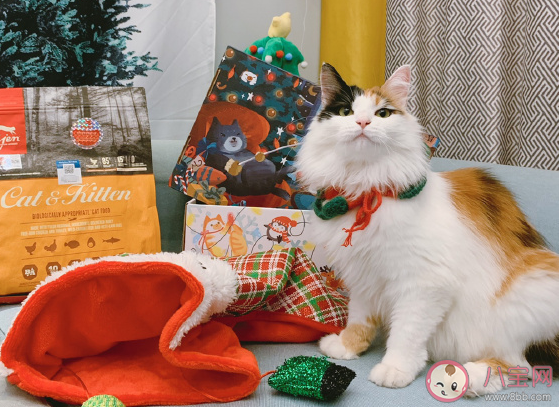 收到圣誕節(jié)禮物開心心情說說2019 圣誕節(jié)收到禮物怎么發(fā)朋友圈