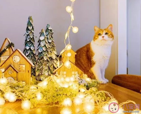 圣誕節溫馨唯美說說2019  圣誕節微信朋友圈說說大全