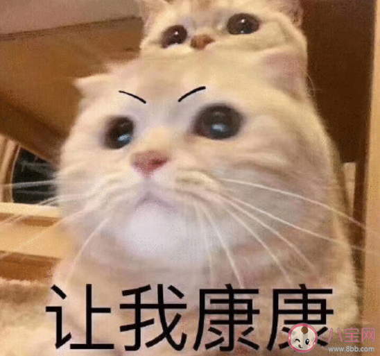 哪些瞬間你不想住在宿舍里了 不想住宿舍的原因有哪些