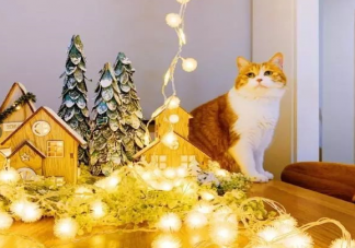 圣誕節溫馨唯美說說2019  圣誕節微信朋友圈說說大全