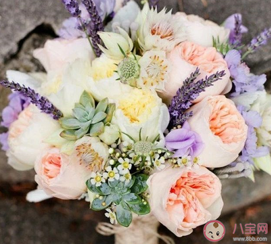 2020元旦節發朋友圈心情說說  元旦節配圖說說一句話