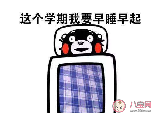 計劃通是什么意思 計劃通梗的出處是什么