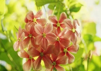 2020元旦微信短信祝福語語大全 元旦節微信朋友圈問候語