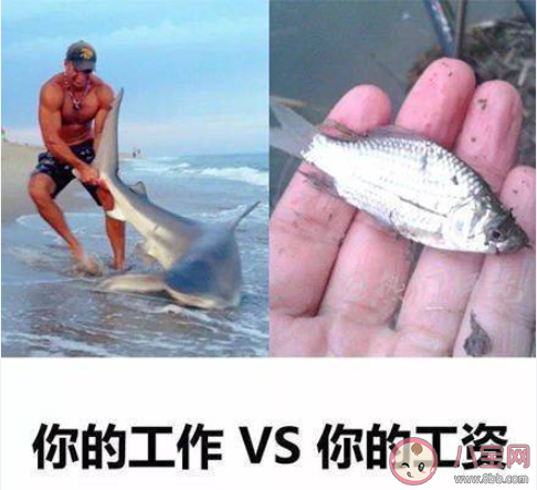 雙12發(fā)朋友圈感言句子 雙12買東西的心情說說語錄大全 雙12發(fā)朋友圈感言句子 雙12買東西的心情說說語錄大全