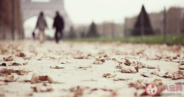 為什么會有越是喜歡越是遠(yuǎn)離的心理 越是喜歡越是遠(yuǎn)離是什么原因